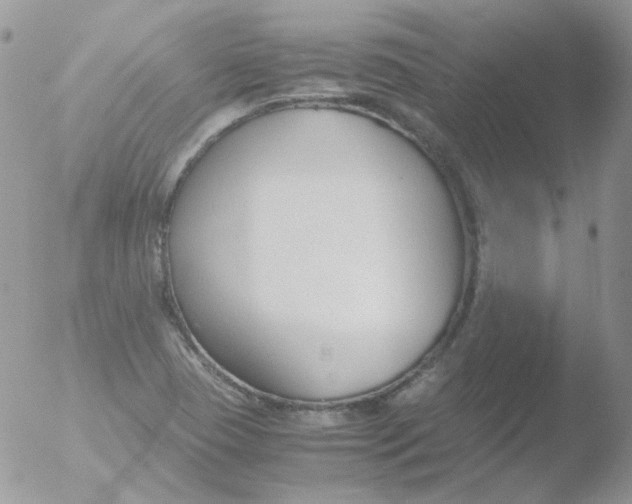 X0000051911409200507152019