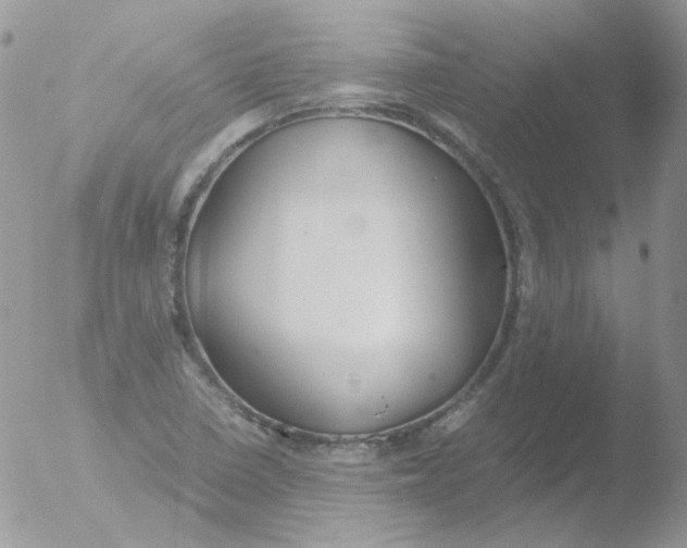 X0000051911410200507152019