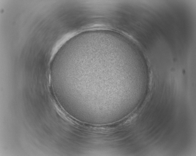 X0000051911413200507152019