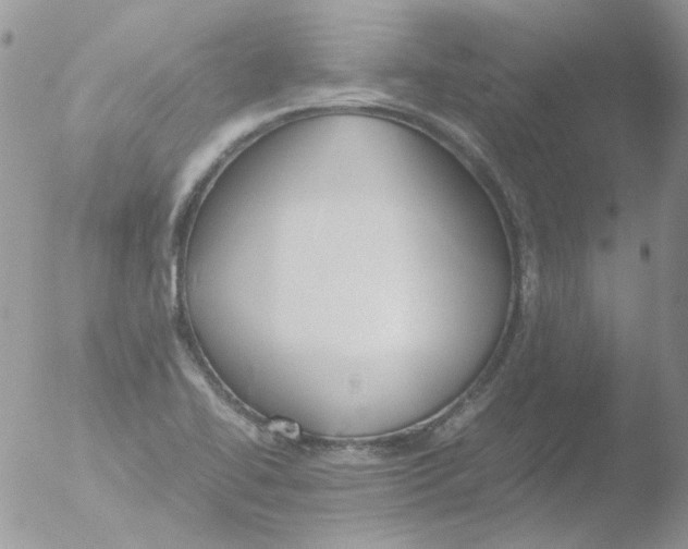 X0000051911414200507152019