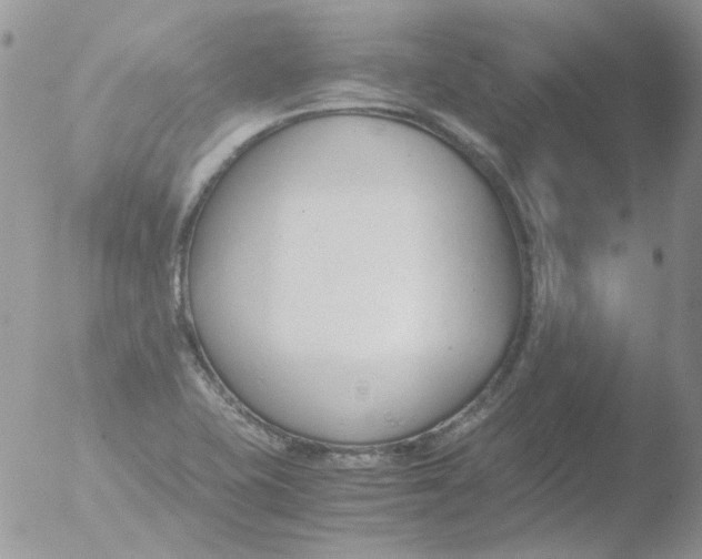 X0000051911415200507152019