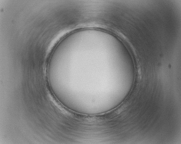 X0000051911416200507152019