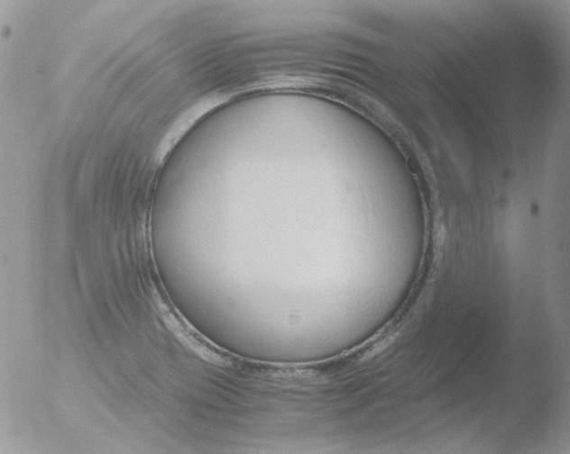 X0000051911417200507152019