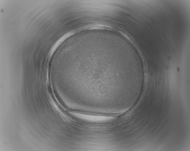 X0000051911418200507152019