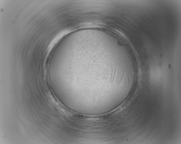 X0000051911419200507152019