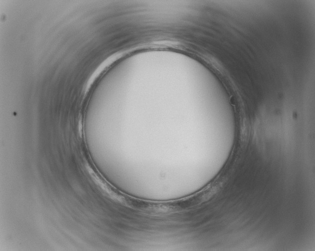 X0000051911420200507152019