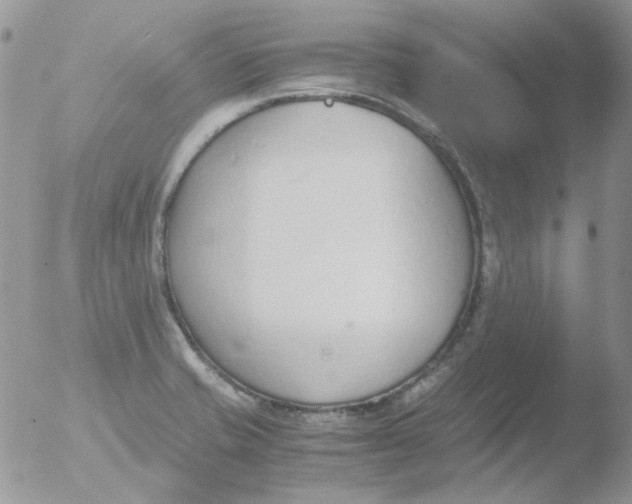 X0000051911421200507152019