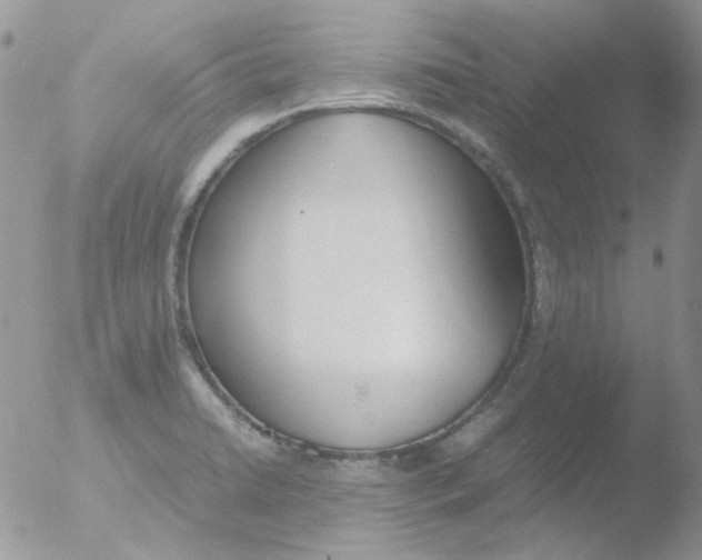 X0000051911422200507152019