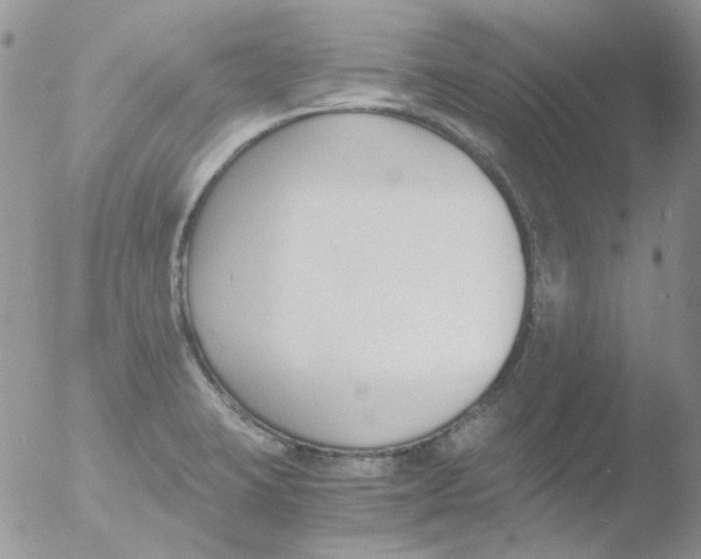 X0000051911423200507152019