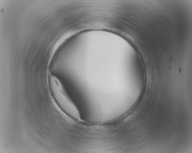 X0000051911424200507152019