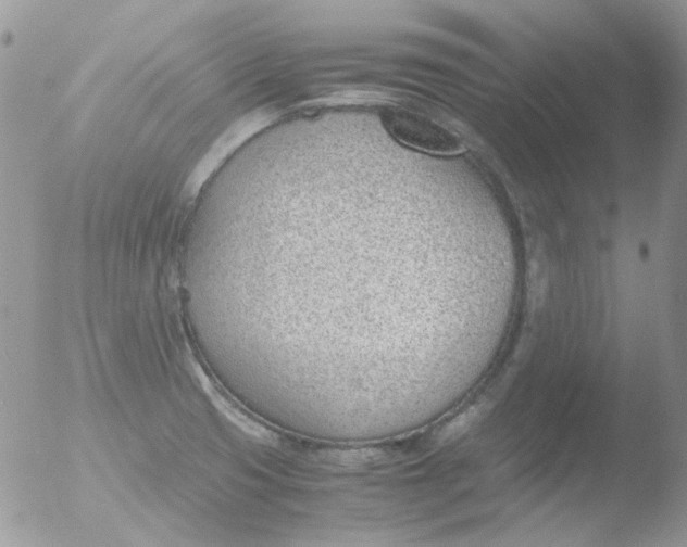 X0000051911425200507152019