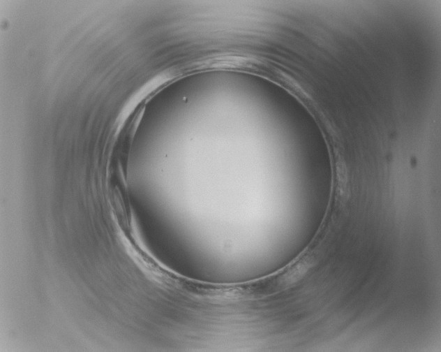 X0000051911426200507152019