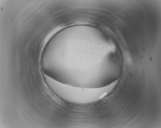 X0000051911427200507152019