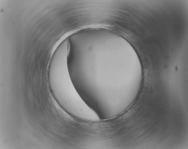 X0000051911428200507152019