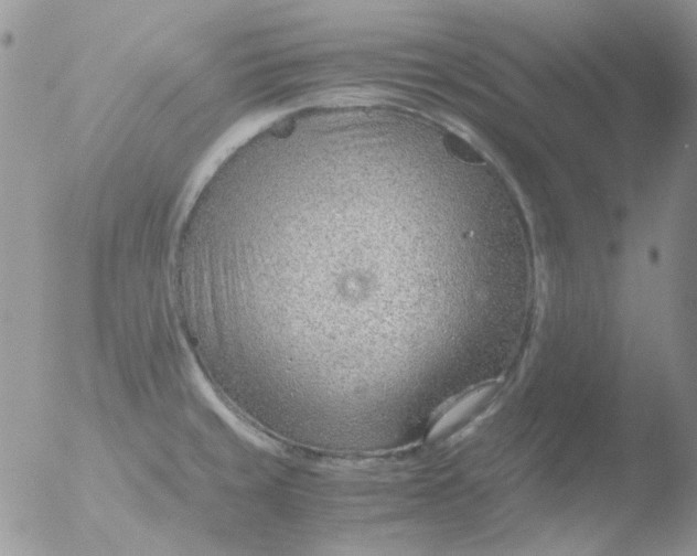 X0000051911429200507152019