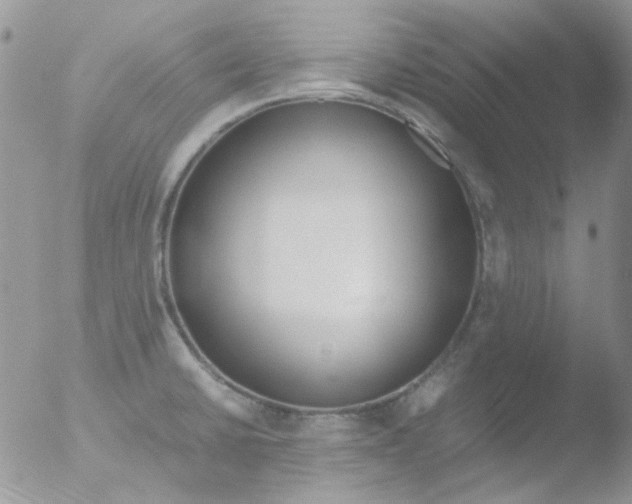 X0000051911430200507152019