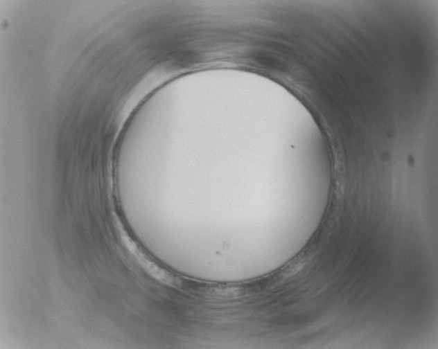 X0000051911431200507152019