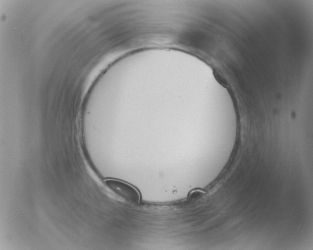 X0000051911432200507152019