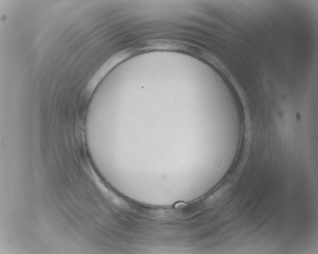 X0000051911433200507152019