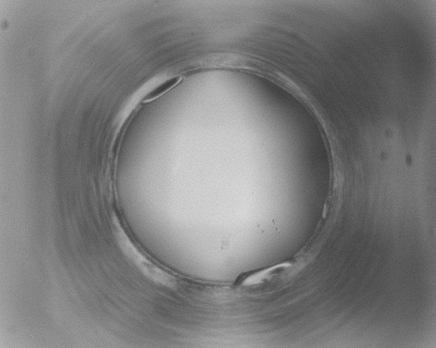 X0000051911434200507152019