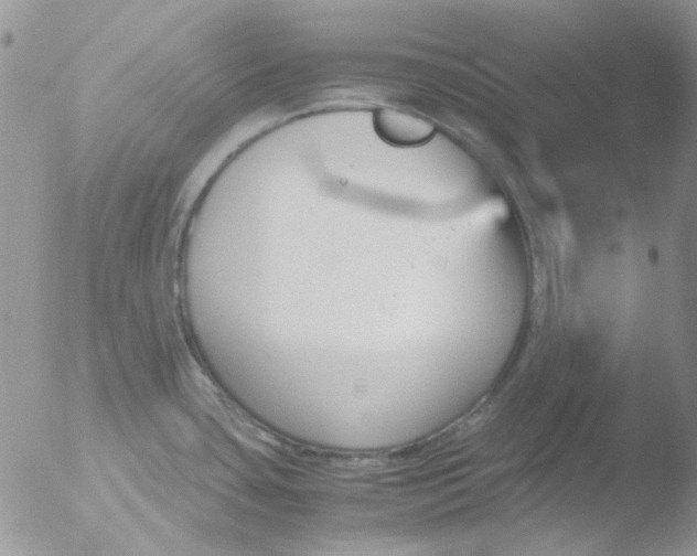 X0000051911435200507152019