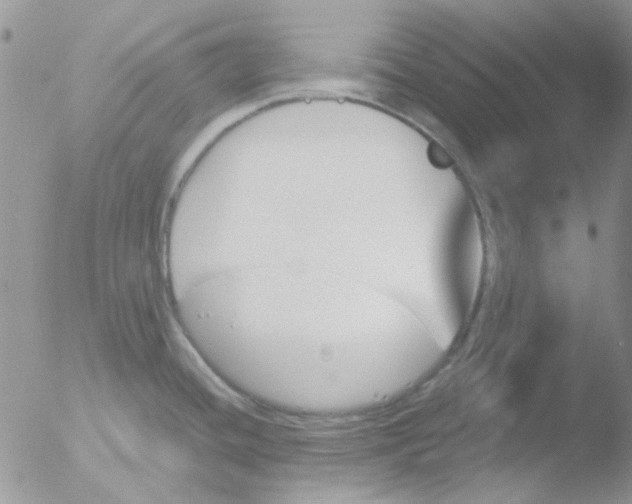 X0000051911436200507152019