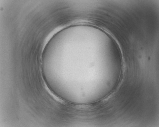 X0000051911437200507152019