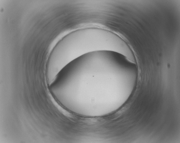 X0000051911438200507152019