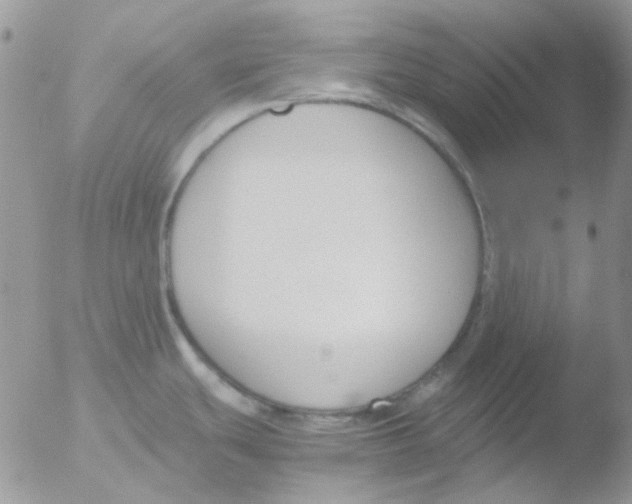 X0000051911439200507152019