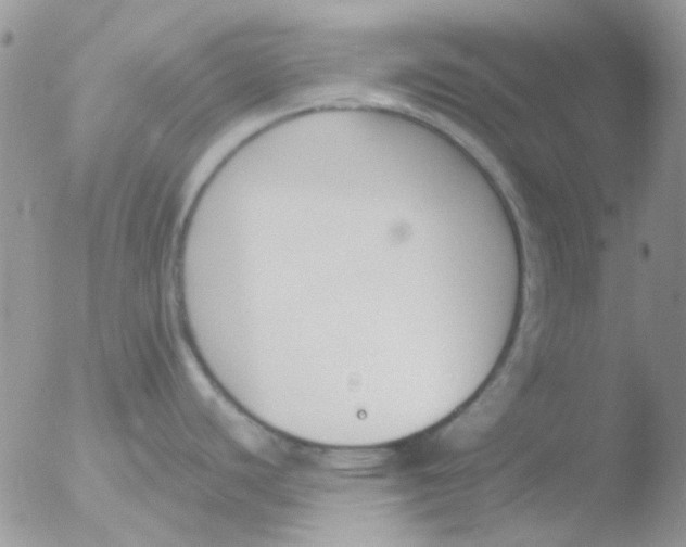 X0000051911440200507152019