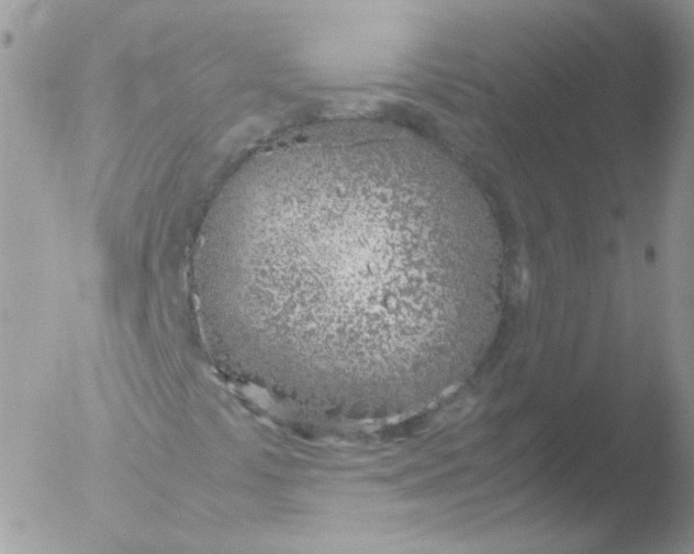 X0000051911441200507152018