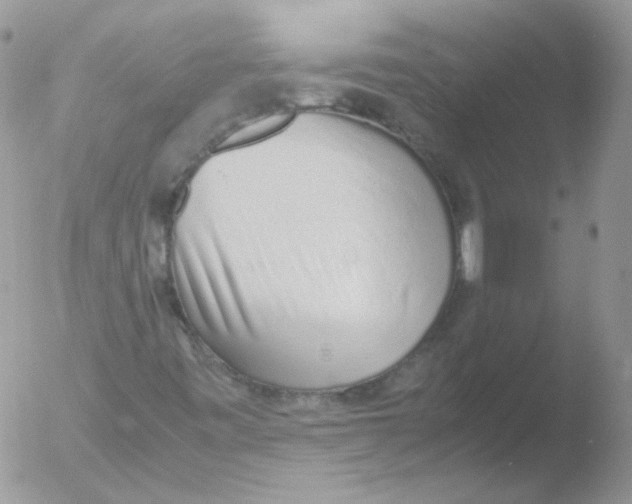 X0000051911443200507152018