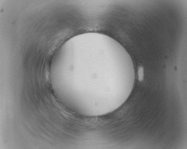 X0000051911444200507152018