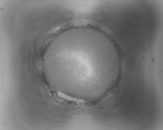 X0000051911445200507152018