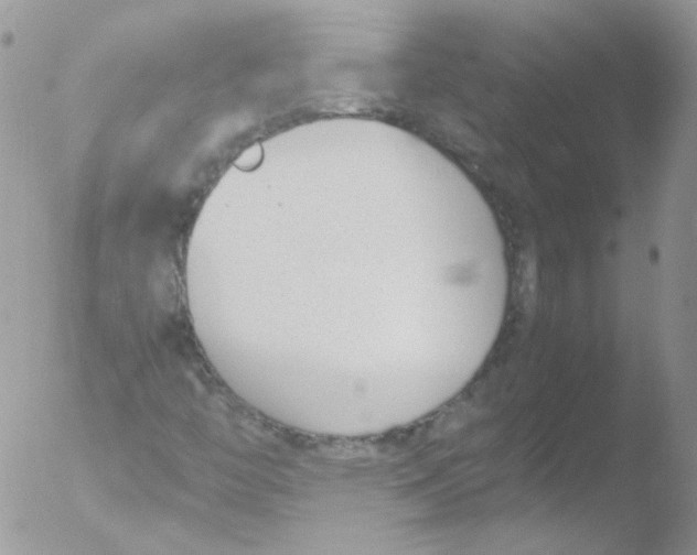 X0000051911446200507152018