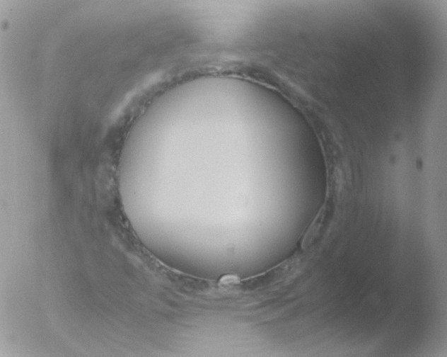 X0000051911447200507152018