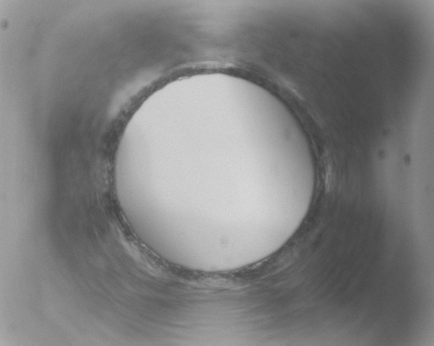 X0000051911448200507152018