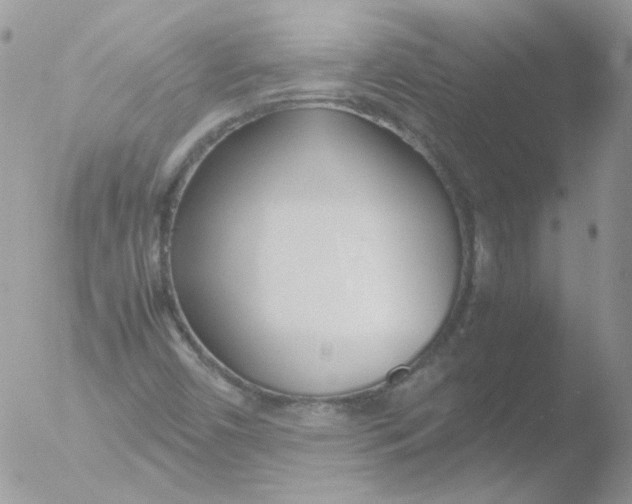 X0000051911450200507152018