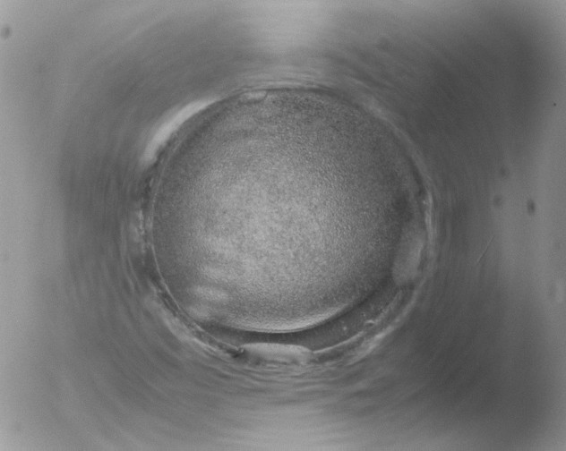 X0000051911453200507152018