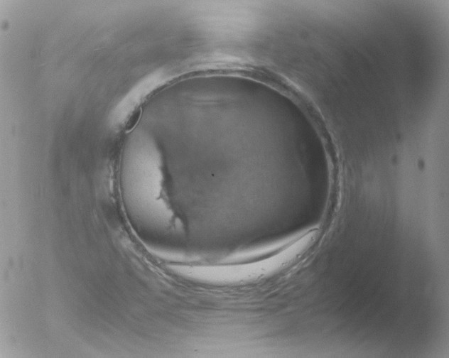 X0000051911455200507152018