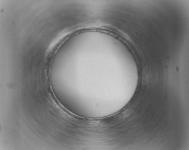 X0000051911456200507152018