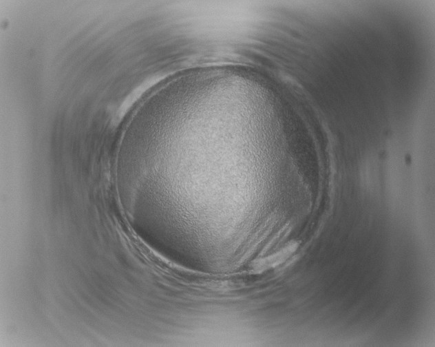 X0000051911457200507152018