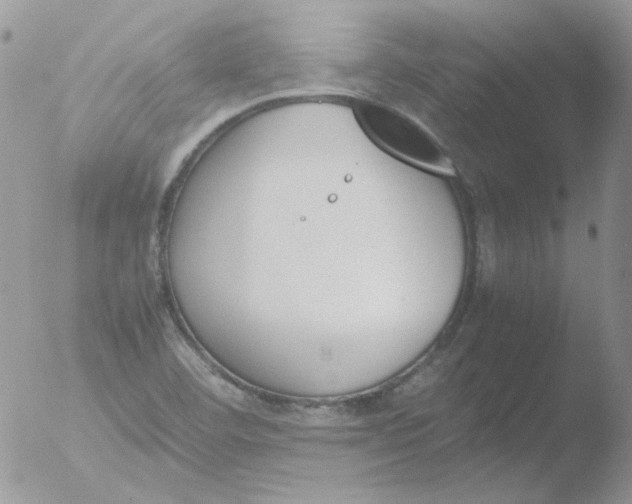 X0000051911460200507152018