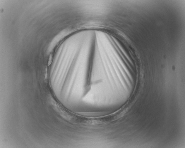 X0000051911461200507152018