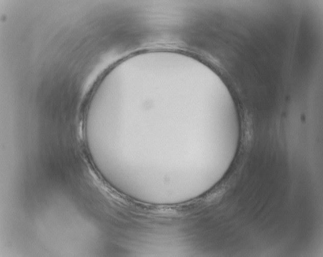 X0000051911462200507152018