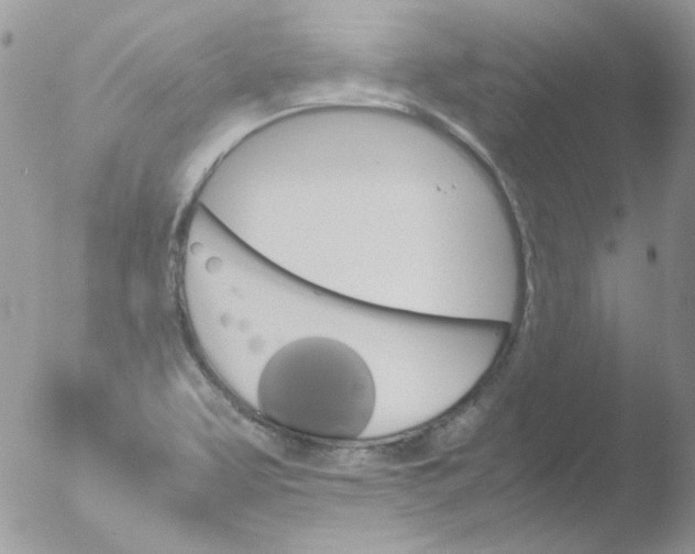 X0000051911463200507152018