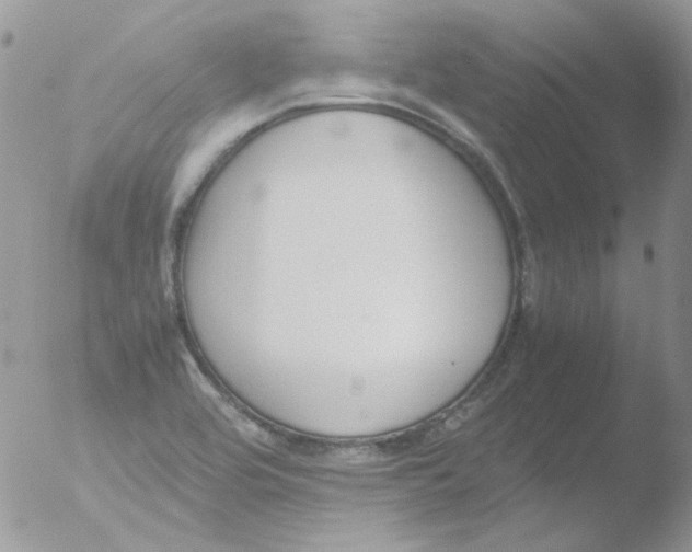 X0000051911464200507152018