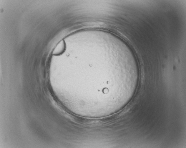 X0000051911467200507152018