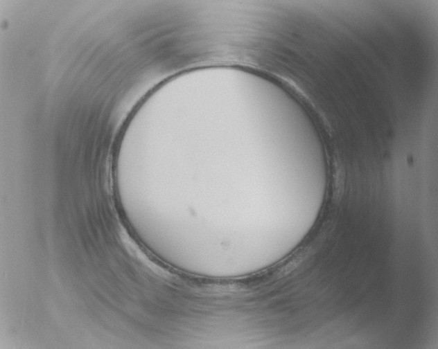 X0000051911468200507152018