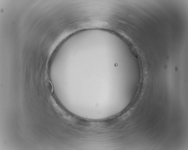 X0000051911469200507152018